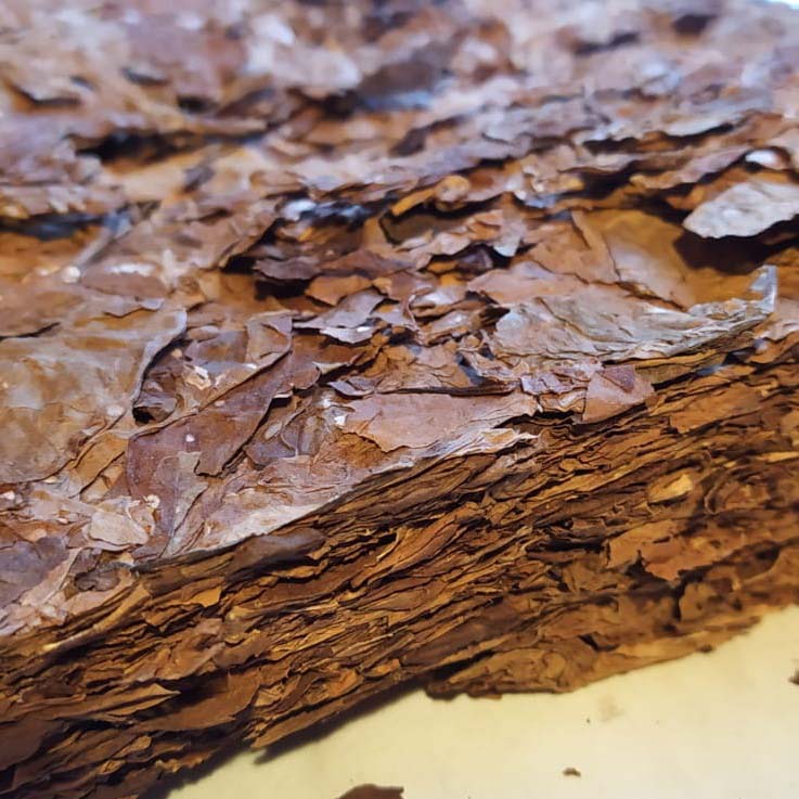 берли листовой2